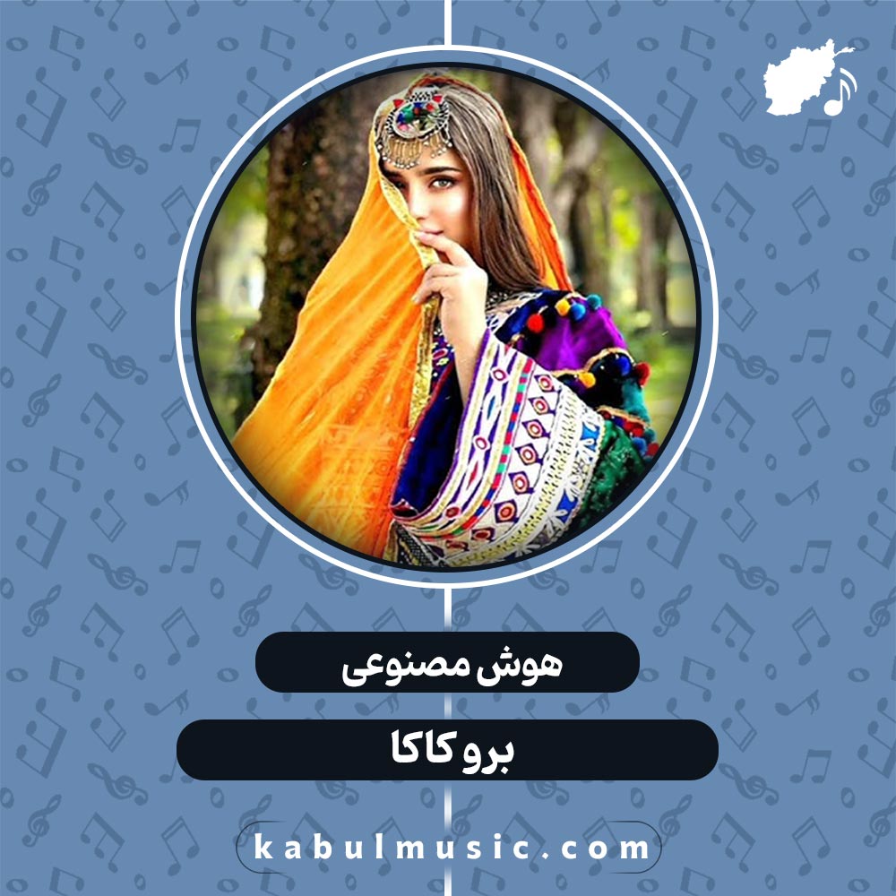 دانلود آهنگ افغانی جدید هوش مصنوعی "برو کاکا" با صدای زن + متن کامل