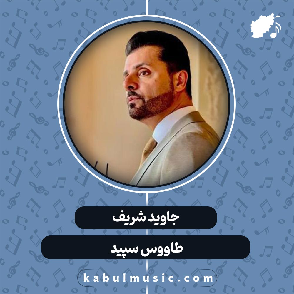 دانلود آهنگ افغانی عاشقانه "طاووس سپید" از جاوید شریف